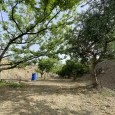 Photo #5 Agriculture land for sale in Cyprus, Ora