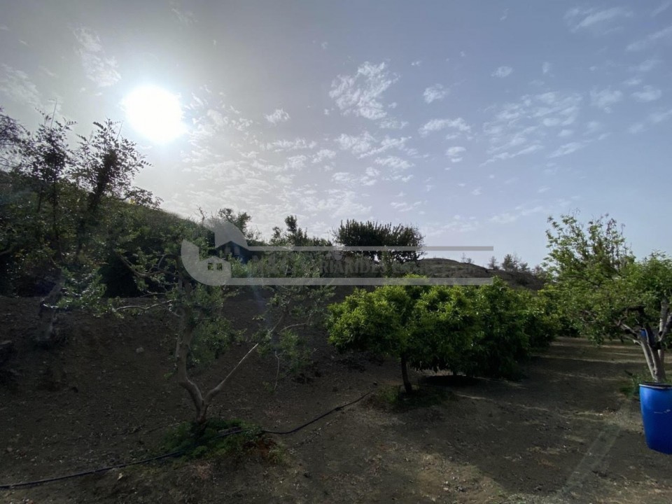 Photo #3 Agriculture land for sale in Cyprus, Ora