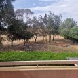 Photo #10 Apartment for sale in Cyprus, Livadia