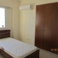 Photo #13 Apartment for rent in Cyprus, Larnaca - City center