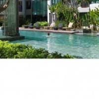 View listing ID ref#2821
